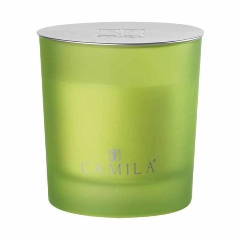 CANDELA GRANDE VERDE ALOE H8XD7.5